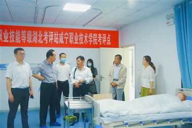 参观5